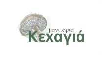 Kexagia Logo